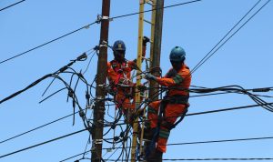 WhatsApp Image 2023-05-02 at 14.46.02