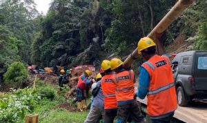 WhatsApp Image 2023-06-26 at 11.06.40