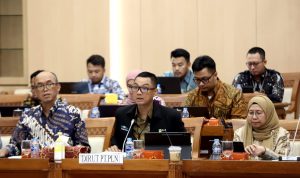 WhatsApp Image 2023-07-08 at 11.29.36