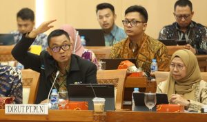 WhatsApp Image 2023-07-09 at 13.30.51