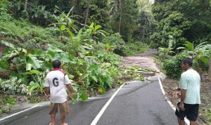 DFEEB879-214D-47B0-88FF-D0D42125AE00