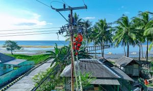 29242188-cf96-4a07-b5f6-5b4c1ec89440