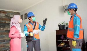 PT-PLN-Persero-sukses-mencatatkan-penambahan-pelad