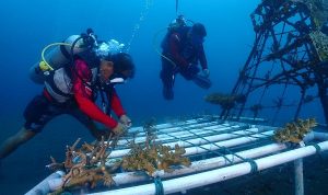 8e9d8042-d7ac-4bf2-9401-7bf953fd40cd