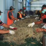 WhatsApp-Image-2023-07-15-at-15.24.11