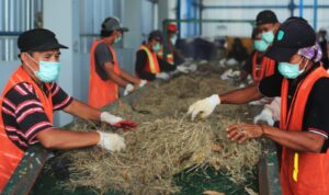 WhatsApp-Image-2023-07-15-at-15.24.11